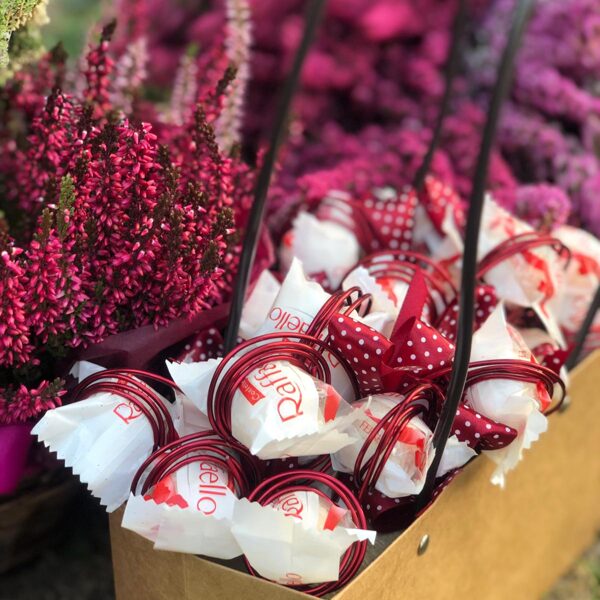 Rafaello somiņā 25,00