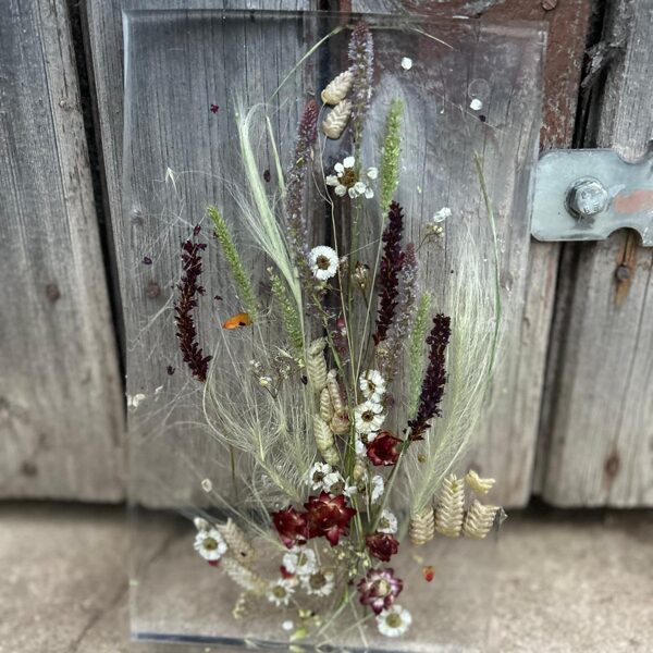 550gr 16 x 26 x 2cm  36,00euro