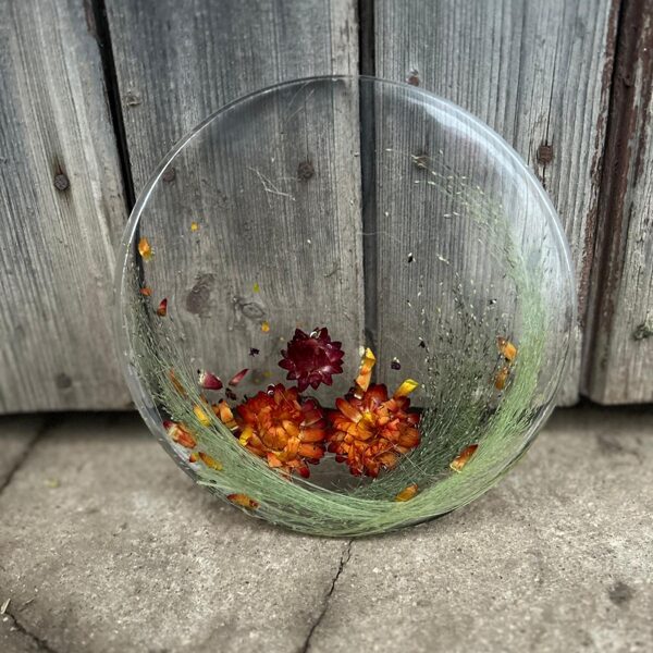 300gr dm18cm h1,5cm 20,00euro