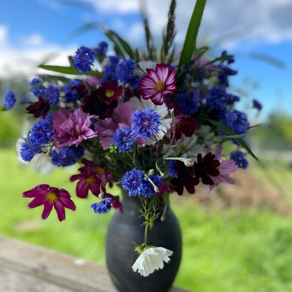 Ziedu pušķis 10,00