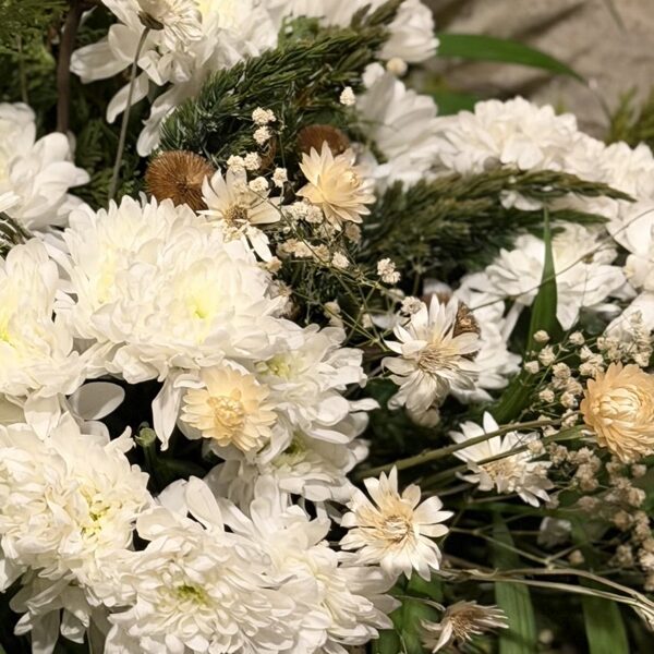 Sēru štrauss ziemā 35,00