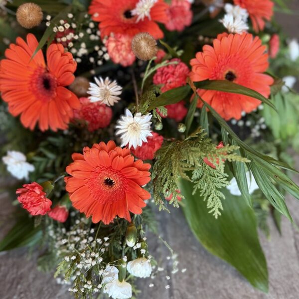 Sēru štrauss 40,00