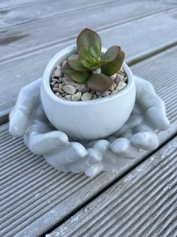 Ģipša rokas 15x15x7cm 8,00 Ģipša trauks+sukulents 6,00