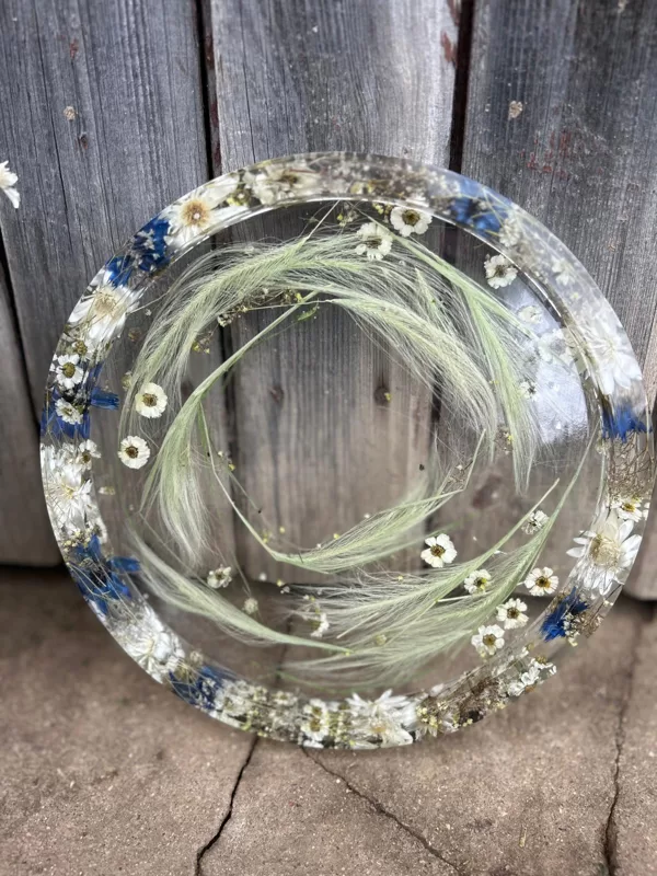 650gr ār.dm 25cm h2,5cm   iekš.dm24cm h1,00cm  30,00euro