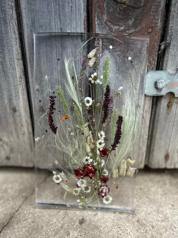 550gr 16 x 26 x 2cm  12,00euro